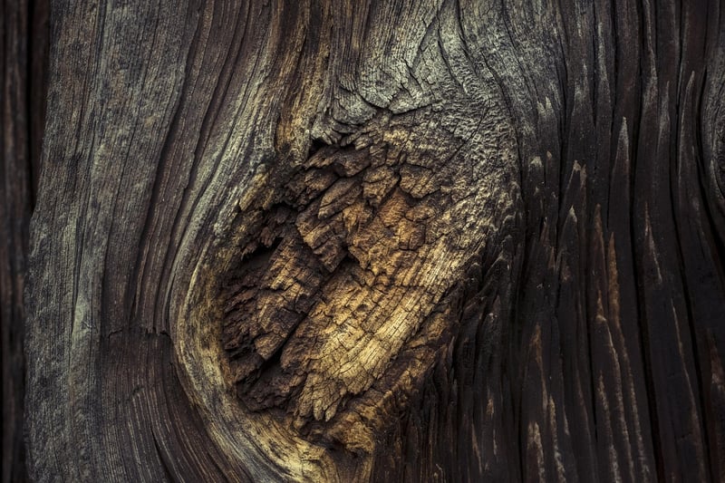 Renewable Materials